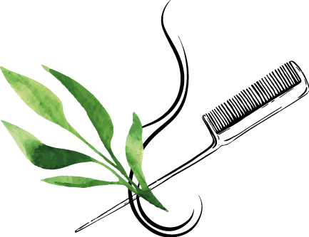 pflanzen grafik farben silke rosskopf friseur