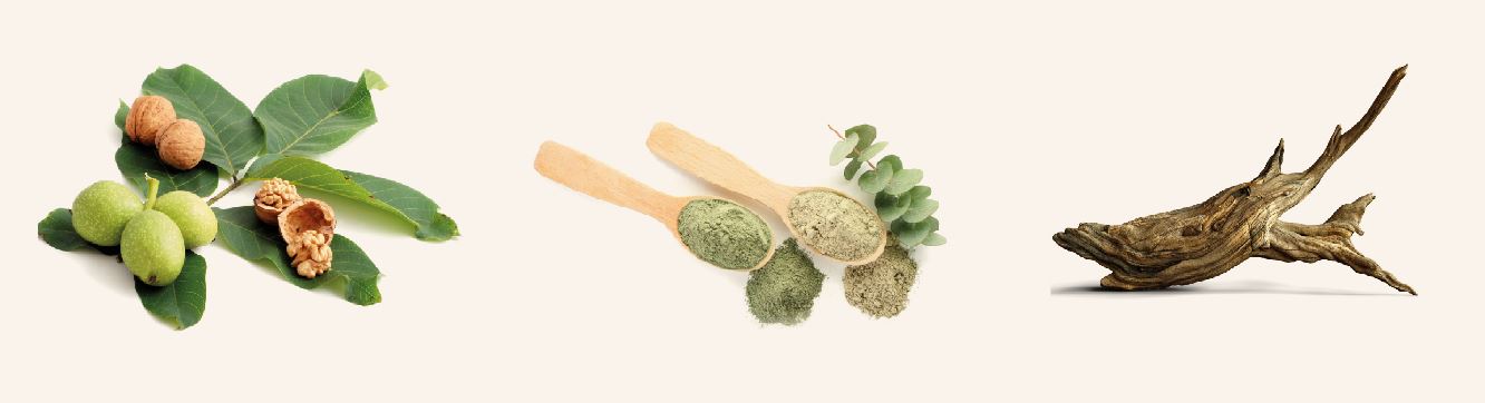 planzen farben bild silke rosskopf friseur